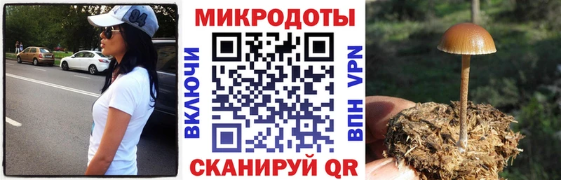 Псилоцибиновые грибы Psilocybine cubensis  Купить где  Анжеро-Судженск 